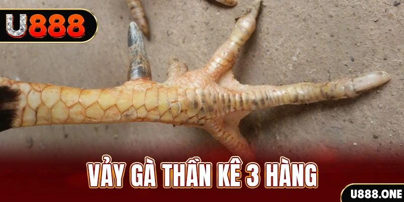 gi88 nổ hũ đổi thưởng . ai