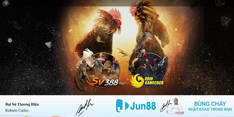 gi88 xổ số miền nam hàng tuần