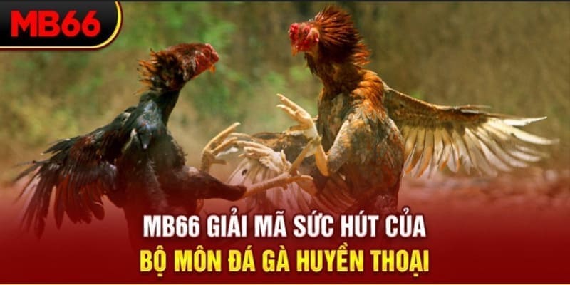 gi88 long bảo trong baccarat là gì