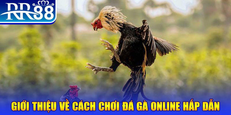 gi88 nổ hũ 2 mặt là gì