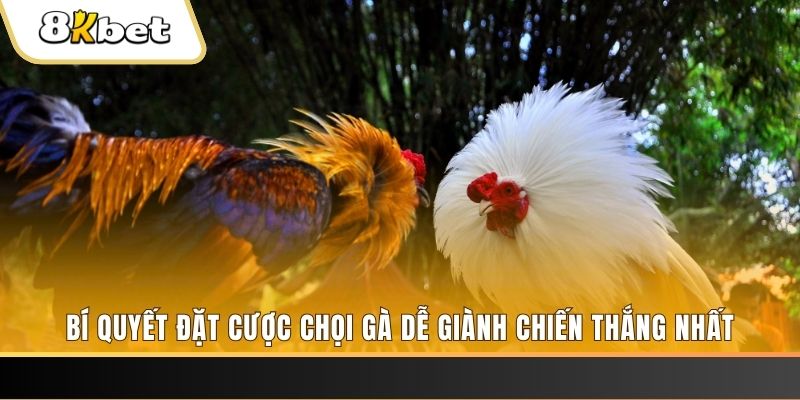 gi88 may club nổ hũ